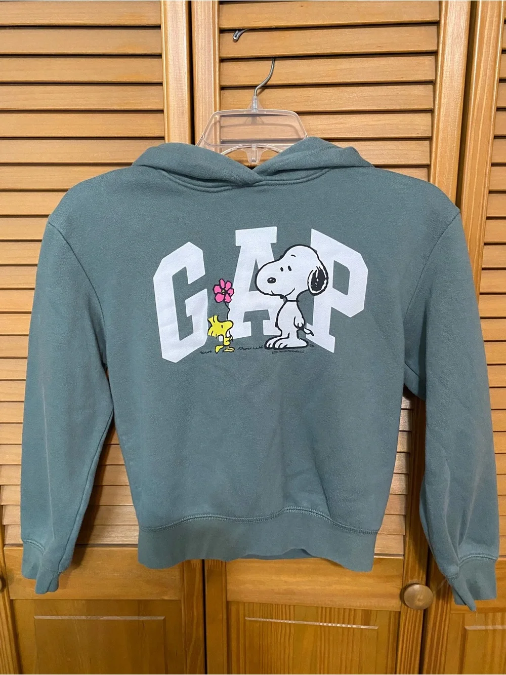 GAP Kids Sage Green Snoopy & Woodstock Hoodie
